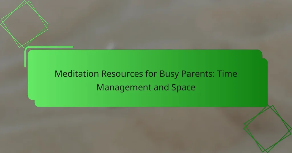 Meditation Resources for Busy Parents: Time Management and Space