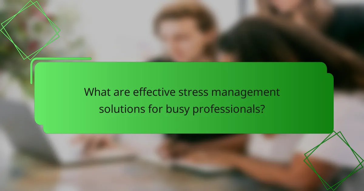 What are effective stress management solutions for busy professionals?